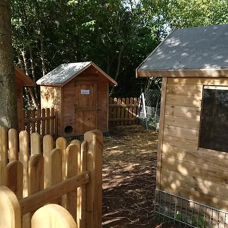 Reetdachhaeuser Am Bakenberg * Dranske