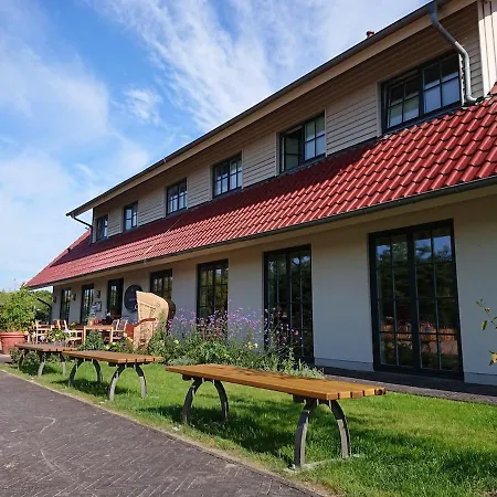Reetdachhaeuser Im Am Bakenberg * Dranske