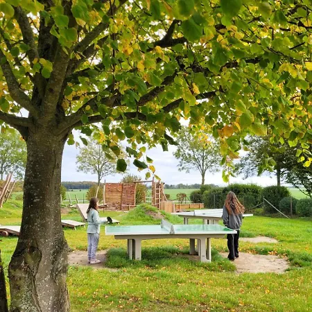Reetdachhaeuser Im Am Bakenberg Feriehus Dranske