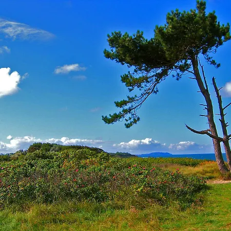 Reetdachhaeuser Am Bakenberg 別荘