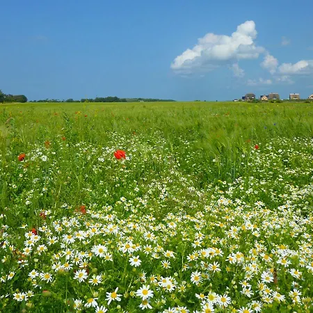 別荘 Reetdachhaeuser Am Bakenberg ドランスケ