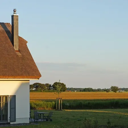 Reetdachhaeuser Im Am Bakenberg