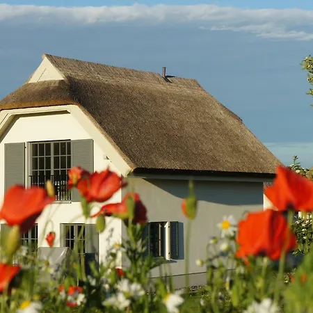 Reetdachhaeuser Im Am Bakenberg Feriehus Dranske