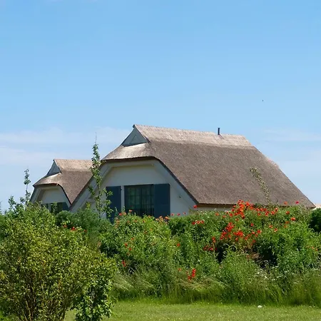 Reetdachhaeuser Am Bakenberg Casa de Férias Dranske