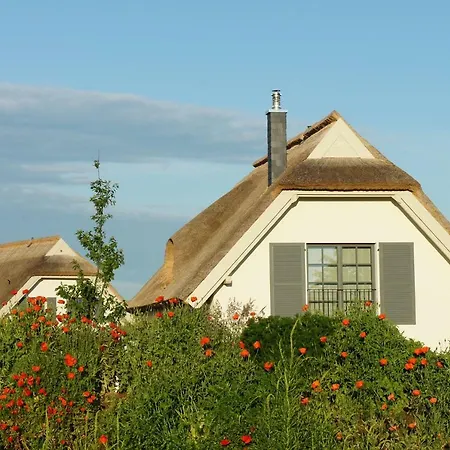 Reetdachhaeuser Am Bakenberg *