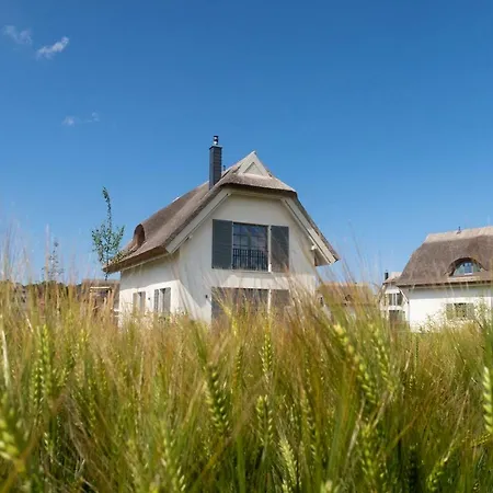 Reetdachhaeuser Am Bakenberg Dranske