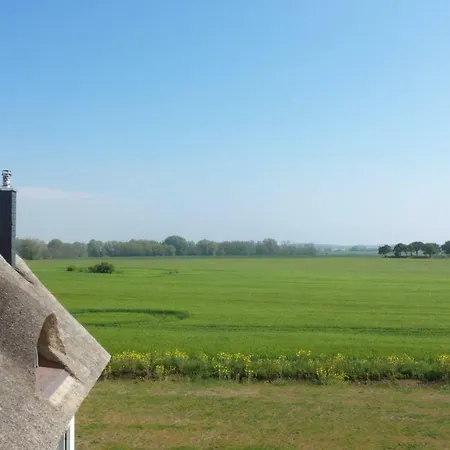 Reetdachhaeuser Am Bakenberg * Dranske