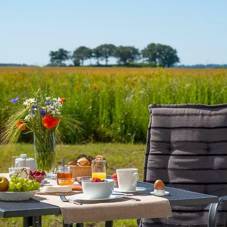 Reetdachhaeuser Am Bakenberg