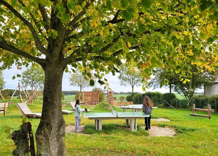 Reetdachhäuser Am Bakenberg Ferienhaus Dranske