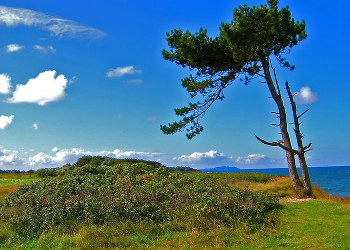 Reetdachhäuser Am Bakenberg Ferienhaus