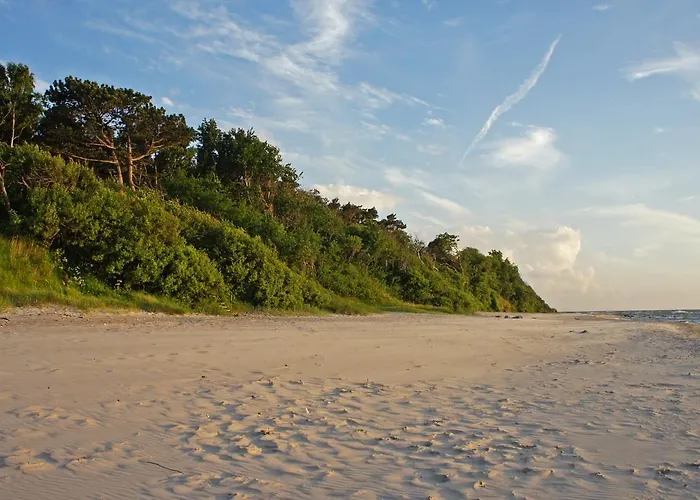 Reetdachhäuser Am Bakenberg * Dranske