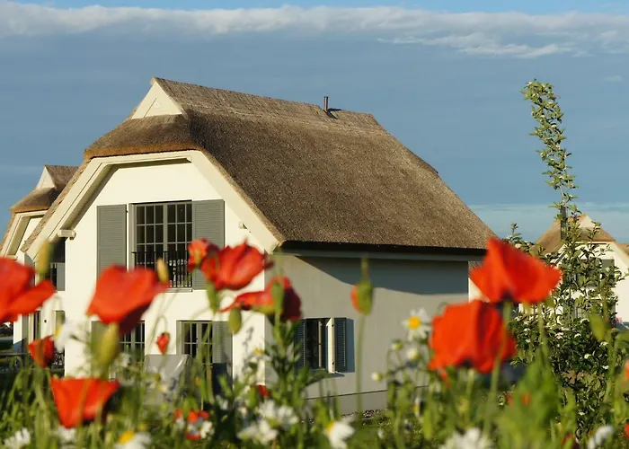 Reetdachhäuser Am Bakenberg Ferienhaus Dranske