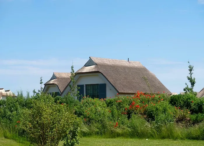 Reetdachhäuser Am Bakenberg Ferienhaus Dranske