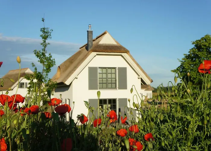Ferienhaus Reetdachhäuser Am Bakenberg Dranske