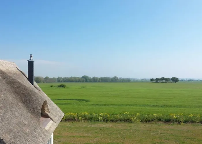 Reetdachhäuser Am Bakenberg * Dranske